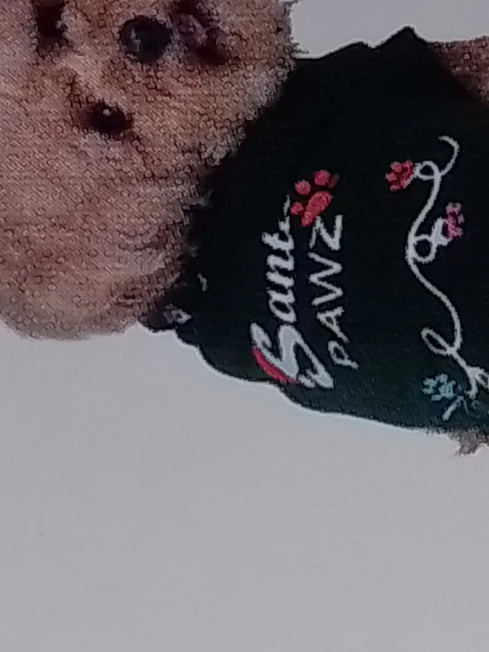 Santa Paws Holiday Pet Sweatshirt -